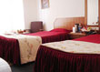 The Sikkim Continental, Hotels in Gangtok